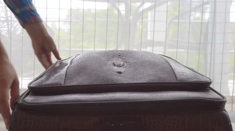 Cat jump out of a suitcase Stock Footage 68907911