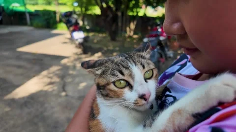 The cat jumped out of the hug. 動画素材 291003962