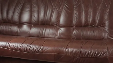 Cat jumping on a leather sofa, lying down. Stock Footage 43218834
