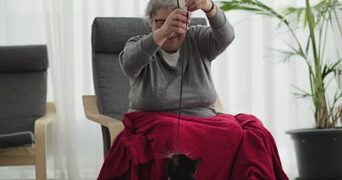 Cat jumps to catch the string hanging from old woman's hand Video stock 333929586