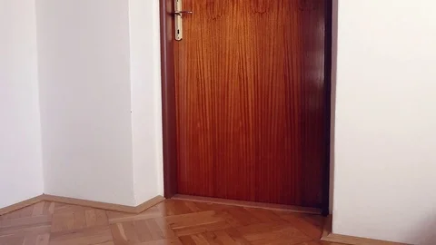 Cat jumps on door handle Stock Footage 95756507