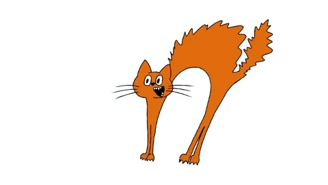 Cat, kitten  Stock Footage 198155459