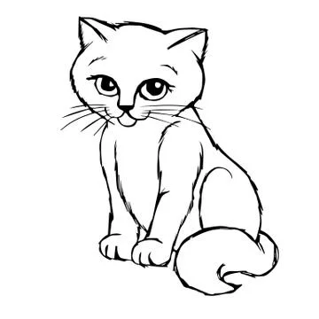 Cat Kitten hand drawn イラスト素材