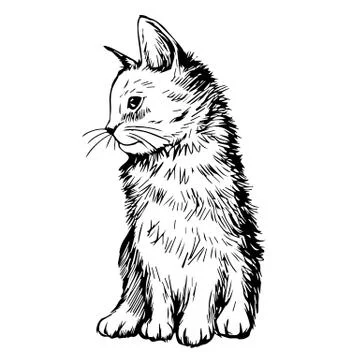 Cat Kitten hand drawn 스톡 일러스트