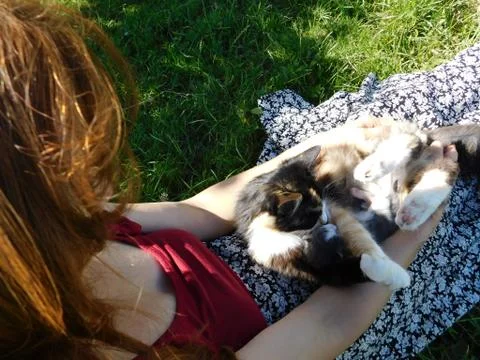 Cat with a kitten Fotos Stock