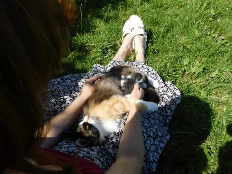 Cat with a kitten Stock Photos