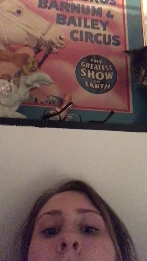 Cat Knocks Glasses Onto Face, Conesus, New York, USA Stock Footage 205378693