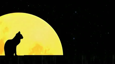 Cat with large orange moon Stock Footage 14808204