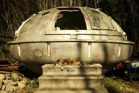 Cat Laying in front of Space Ship Fotos de archivo