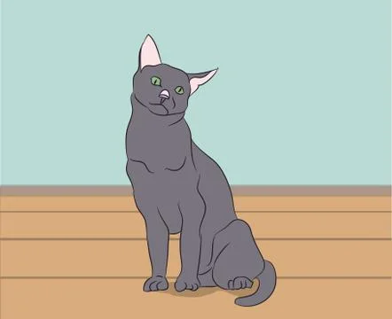 Cat lies in the room Stock-Illustration