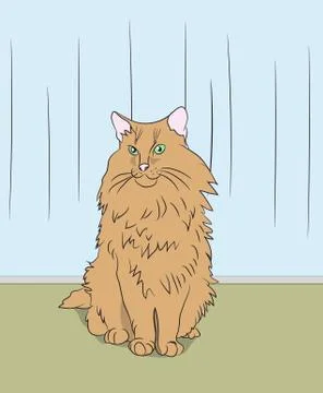 Cat lies in the room Illustrazione stock