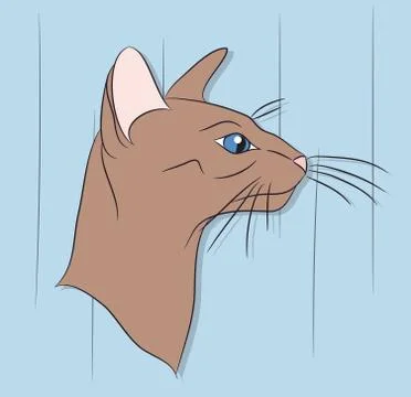 Cat lies in the room Stock Illustration