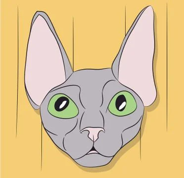 Cat lies in the room Illustrazione stock