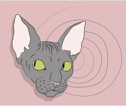 Cat lies in the room Illustrazione stock