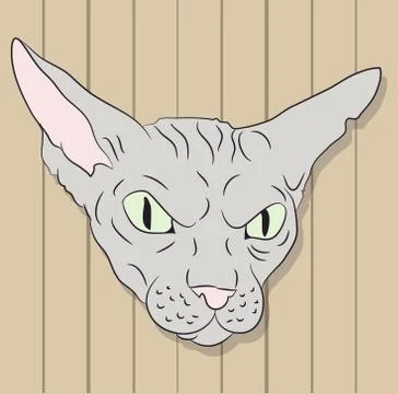 Cat lies in the room Stock-Illustration