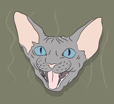 Cat lies in the room Stock-Illustration