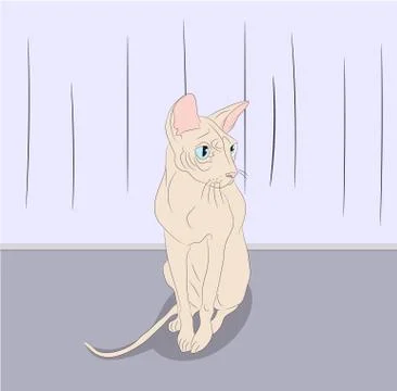 Cat lies in the room Illustrazione stock