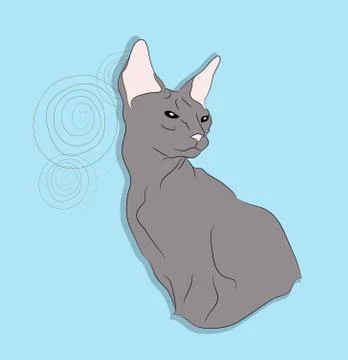 Cat lies in the room Stock Illustration