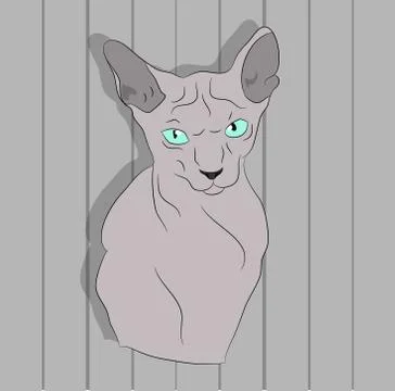 Cat lies in the room Stock Illustration