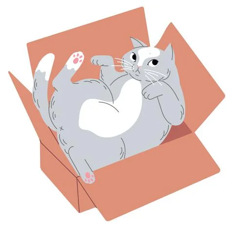 Cat lies upside down in a small box Illustrazione stock