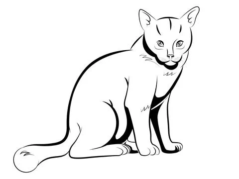 Cat line illustration, Stock Illustration