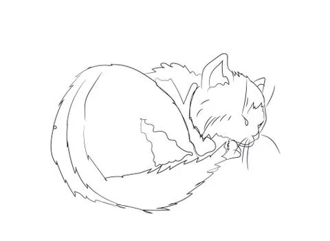 Cat lines, vector Illustrazione stock