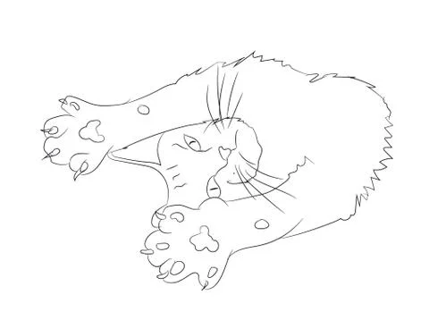 Cat lines, vector Stock Illustration
