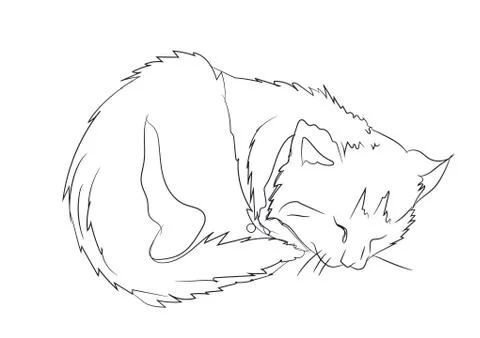 Cat lines, vector Stock Illustration