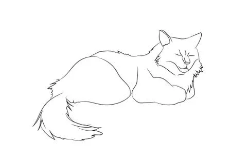 Cat lines, vector Illustrazione stock