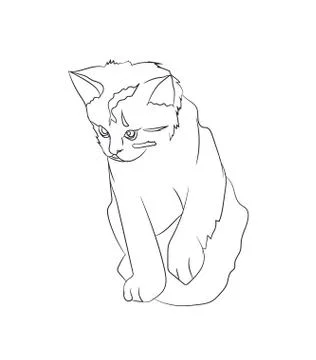 Cat lines, vector Stock-Illustration