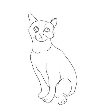 Cat lines, vector Illustrazione stock