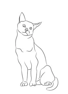 Cat lines, vector Stock Illustration