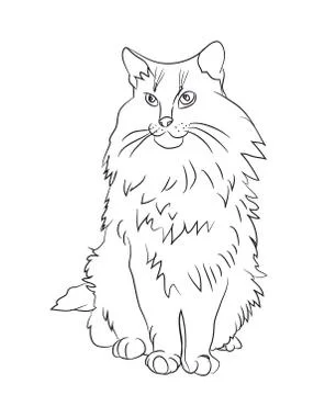 Cat lines, vector Stock Illustration