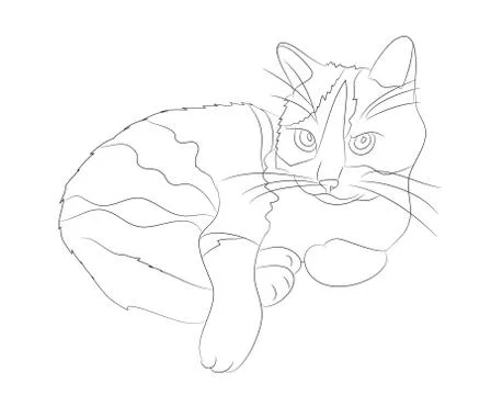 Cat lines, vector Stock-Illustration