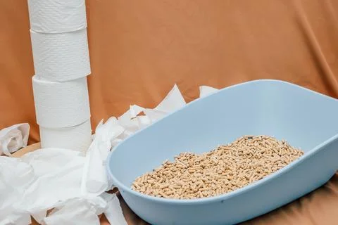 Cat litter box with pellets and paper towels on table in  home setting.  blue Stock-Fotos