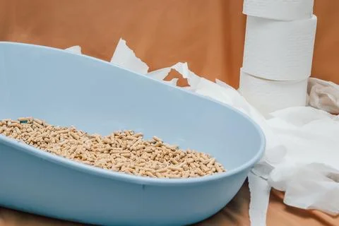 Cat litter box with pellets and paper towels on table in  home setting.  blue Stock-Fotos