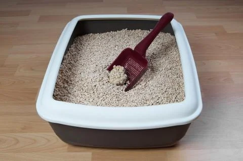 Cat litter box Stock Photos