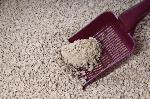 Cat litter box Stock Photos