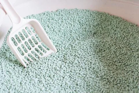 Cat litter box Stock Photos