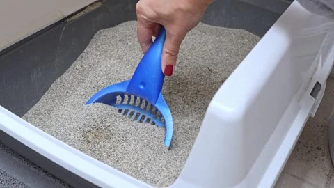 Cat litter cleaning process captured in sequential frames, showcasing the action Stock Footage 318492738