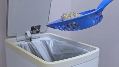 Cat litter cleaning process shows a blue scoop lifting litter above a trash bin Stock Footage 318492802