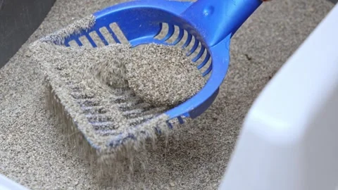 Cat litter cleaning sequence showing the action of scooping and sifting litter Stock Footage 318492771