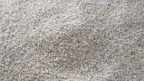 Cat litter. Heap Absorbent substance Stock Footage 138869165