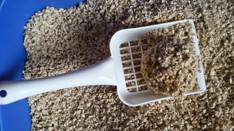 Cat litter Stock Photos