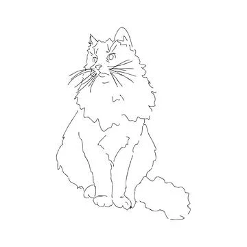 Cat with a long mustache Stock Illustration