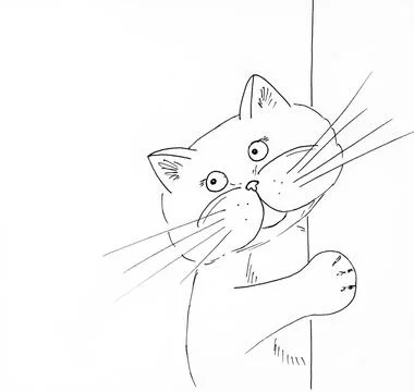 Cat looking around a corner. Black and white hand drawing. Stock Illustration