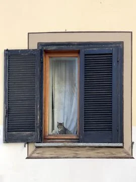 Cat looking out behind window panes Stock Photos