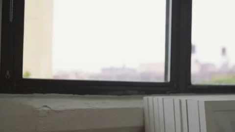 Cat looking out a window in brooklyn Stock Footage 76103941