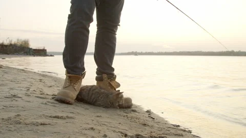 Cat looking at waves near crop angler Stock-Footage 143914084
