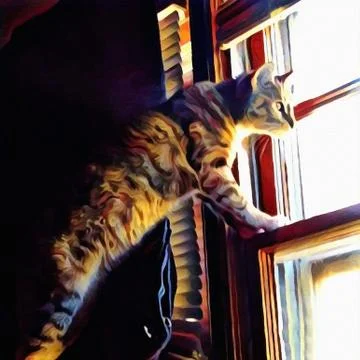 Cat looks through the window Stock Illustration